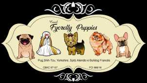 Fyorelly Puppies Kennel 